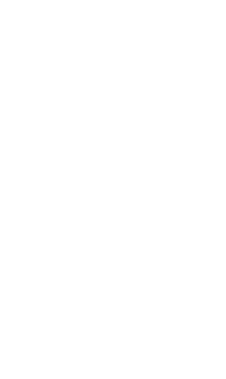IBO Studio